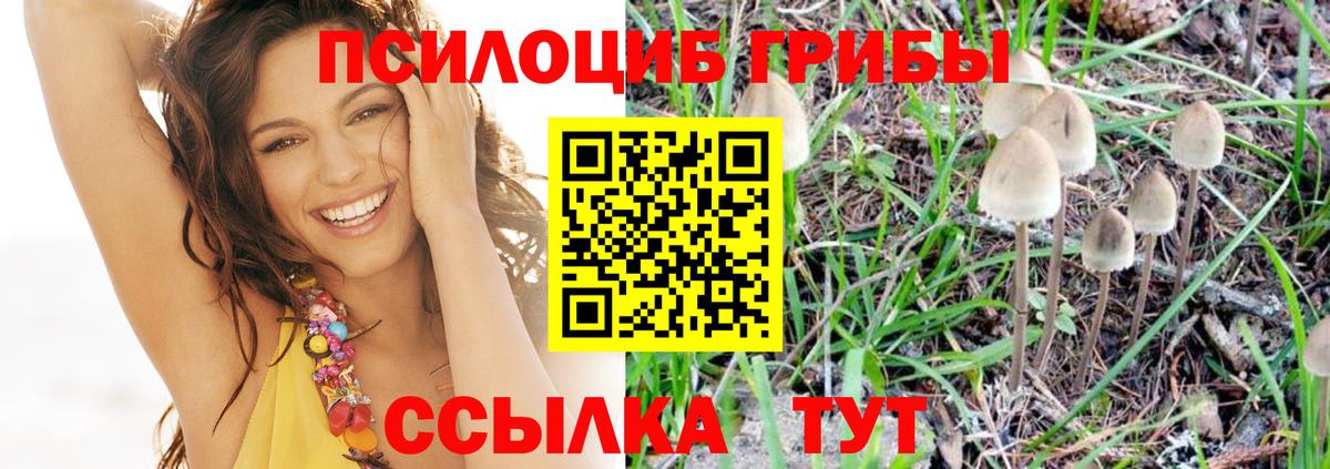 Галлюциногенные грибы мицелий  Псилоцибиновые грибы ЛСД  Первоуральск  Вход с VPN 