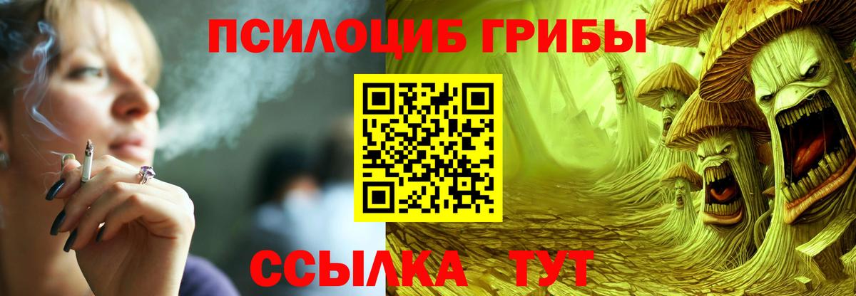 Псилоцибиновые грибы Cubensis  Вход с VPN  Первоуральск 