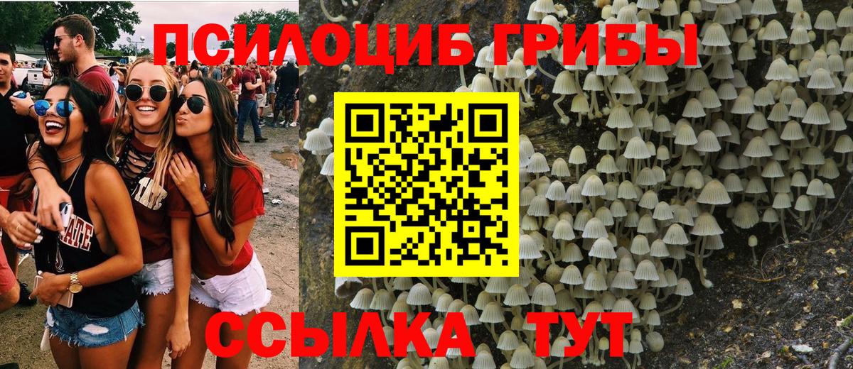 Гашиш  ЭКСТАЗИ  Первоуральск  Меф МЯУ МЯУ  АМФЕТАМИН кристаллы  Бошки Шишки  Меф кристаллы  Вход с VPN  COCAIN 